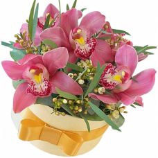 Шляпная коробка с орхидеей мини